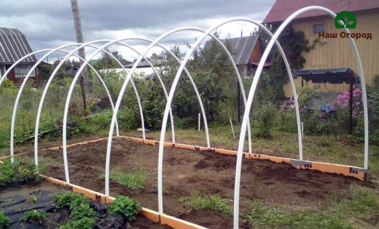 greenhouses made of polycarbonate