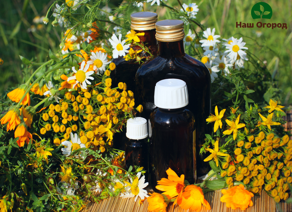 first aid kit in the garden