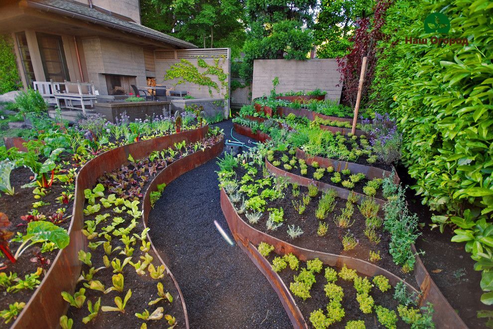 gardening trends