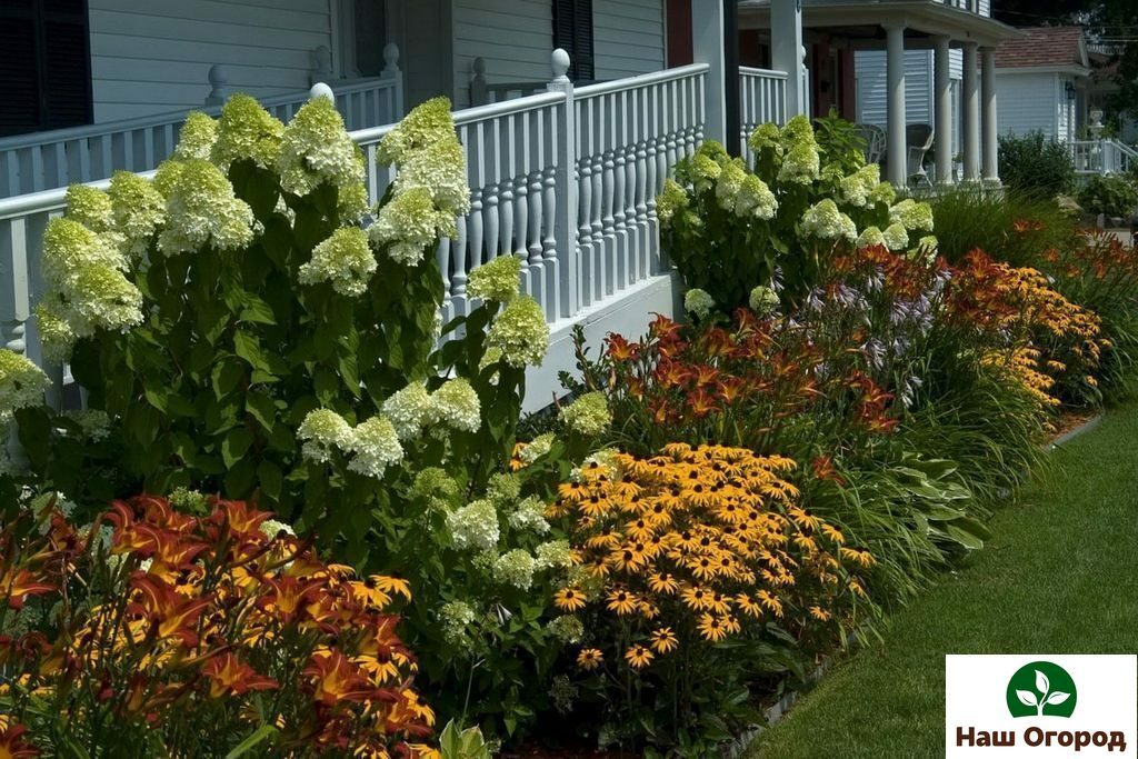 quartier des plantes