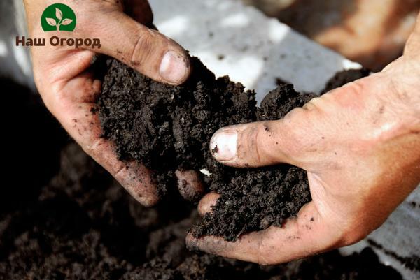 soil preparation