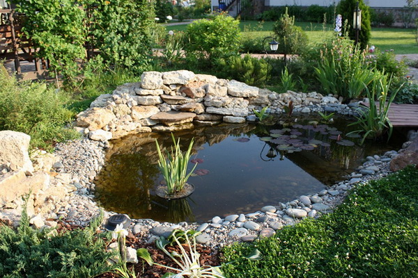 Un étang dans le jardin fait partie intégrante d'un véritable éco-jardin