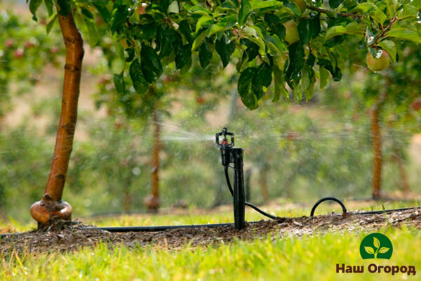 Gartenarbeit im Mai