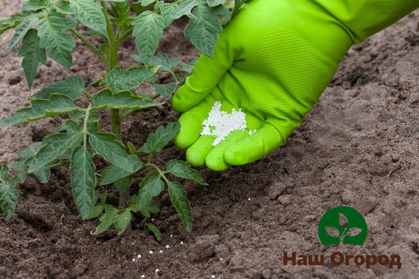 Harnstoff für Tomaten