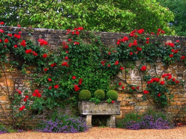 An original idea for creating vertical landscaping