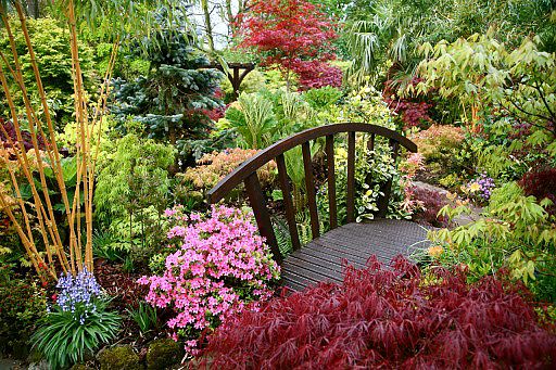 The garden filled with various plants looks very impressive.