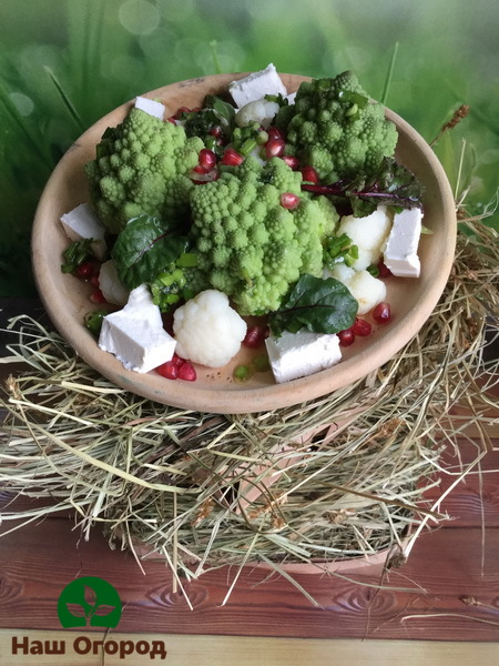 Romanesco cabbage is part of many healthy dietary dishes