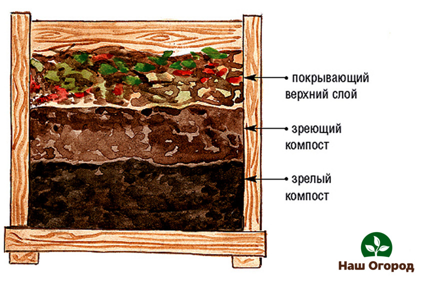 Layout of compost in boxes