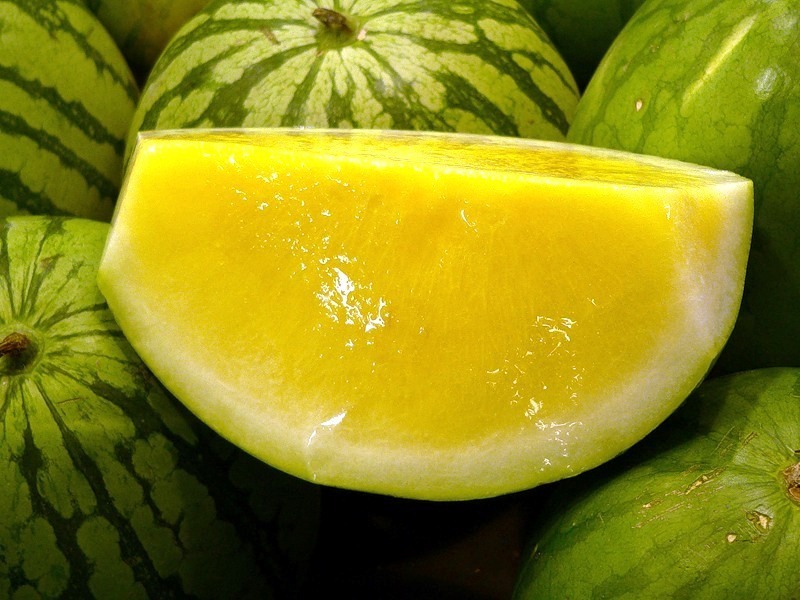 Yellow watermelon