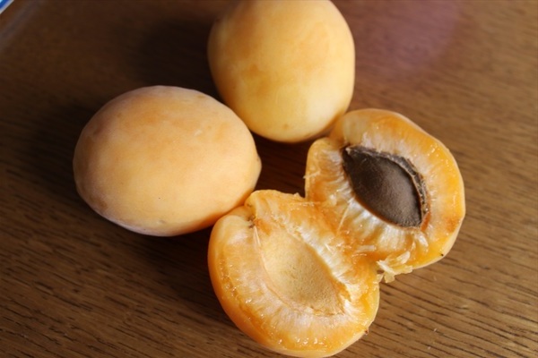 Iba't ibang uri ng pineapple apricot