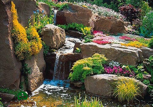 Rock garden on the slope