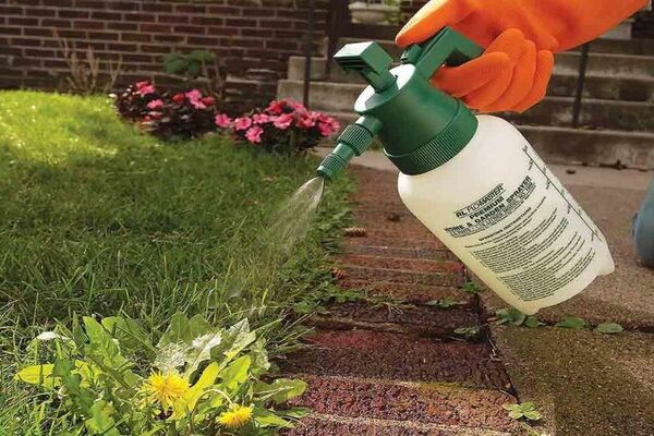 weed control