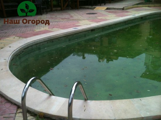 Ang mga nahulog na dahon, dumi, at maputik na tubig ay hindi dapat payagan na lumitaw sa pool.