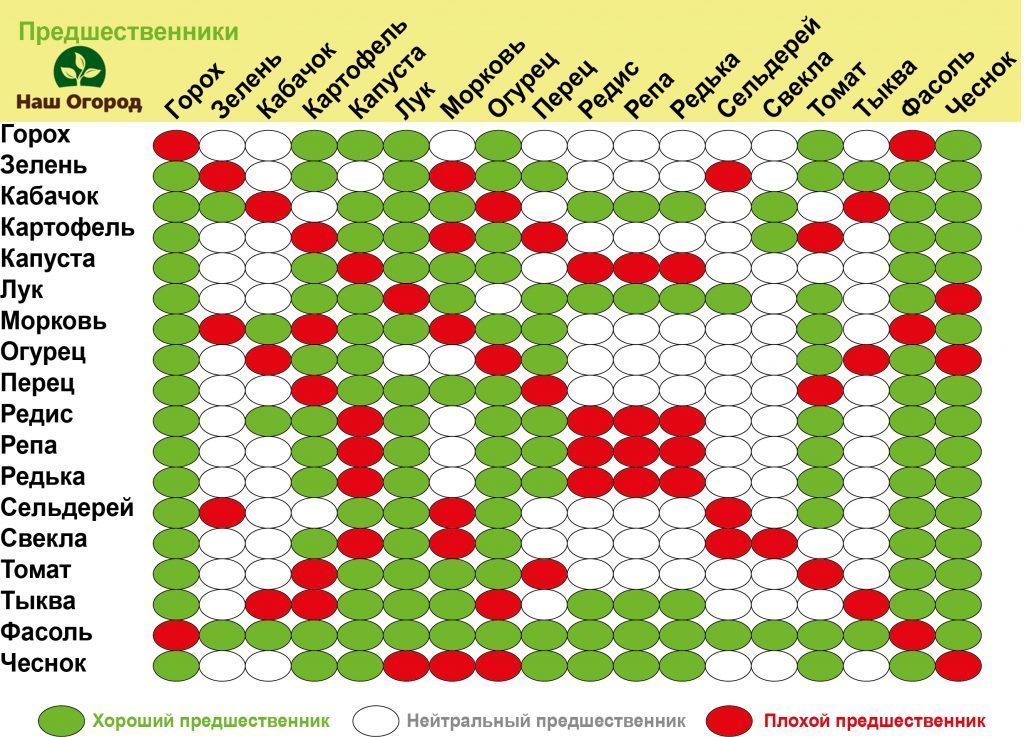 Table of Successful and Unsuccessful Forerunners for Certain Cultures