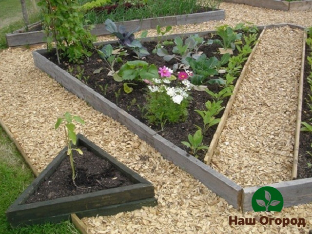 Paths between the beds, covered with wood shavings