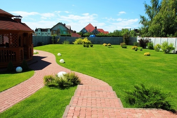 Lawn at the summer cottage