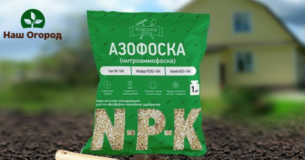 Nitrogen-containing fertilizer for the vegetable garden -
nitroammophoska