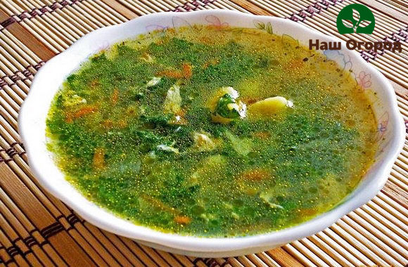 You can make a very tasty and healthy soup from dream