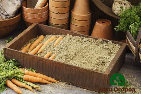 Sandkasten zum Aufbewahren von Karotten