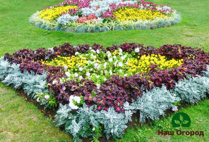 Isang halimbawa ng kung paano matagumpay na ayusin ang mga bulaklak sa isang bulaklak