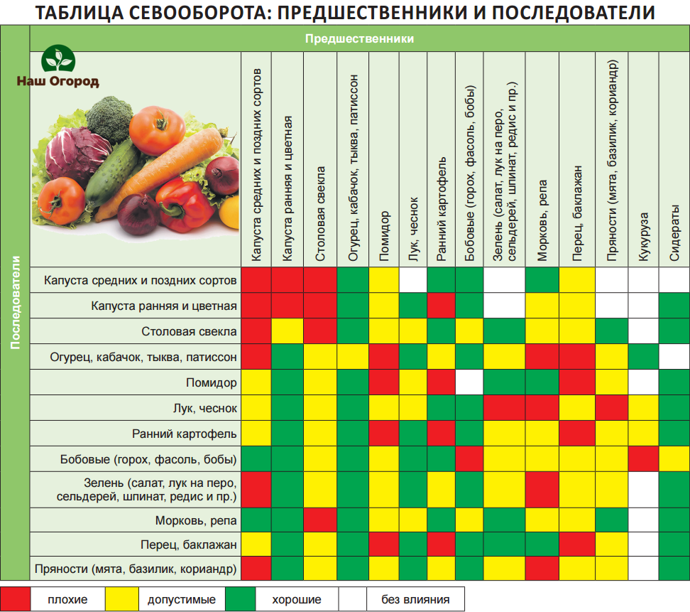 crop rotation in the garden