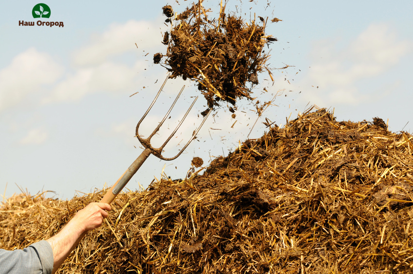 natural fertilizer