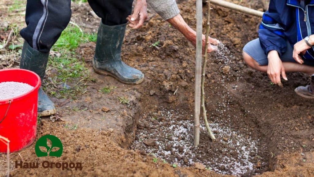 Fertilizing prepared wells