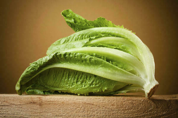 Romaine