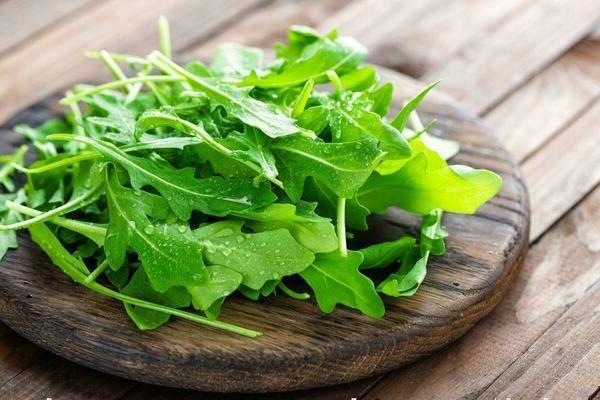 rucola