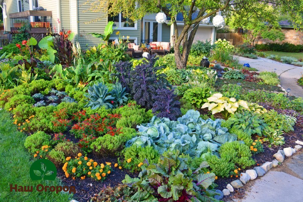 Essbare Gartenarbeit - Gemüseanbau in Blumenbeeten.