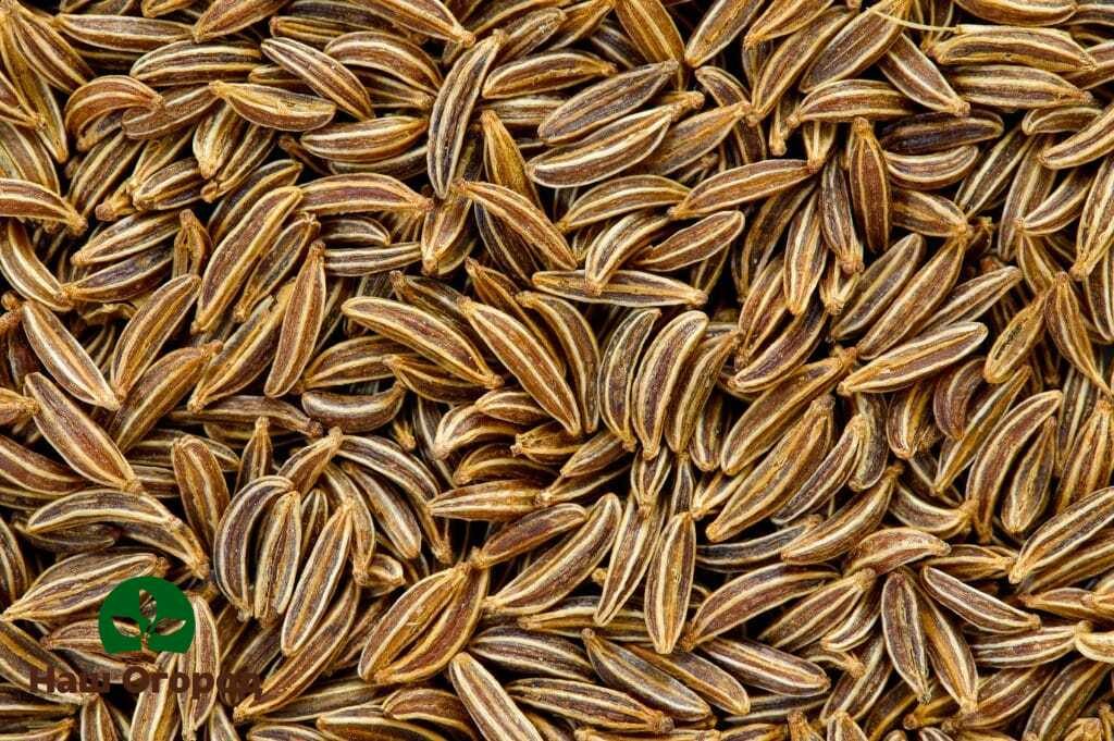 Caraway seeds