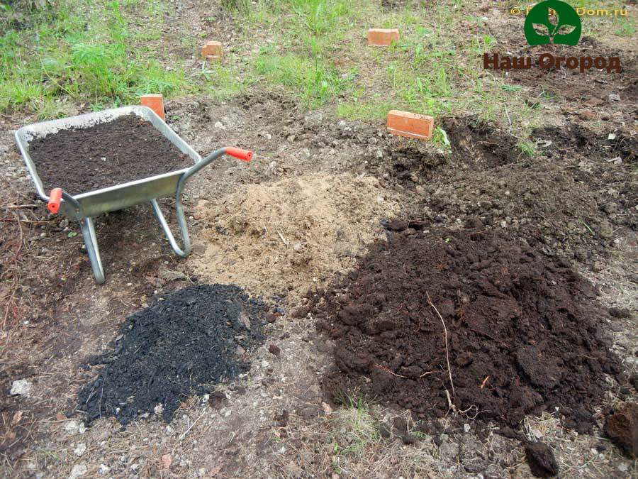 Torfböden müssen mit Lehm oder Sand gemischt werden, bevor Pflanzen darauf angebaut werden