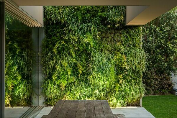 Vertical garden