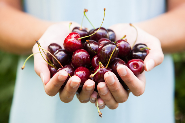 Comment traiter les cerises + des parasites