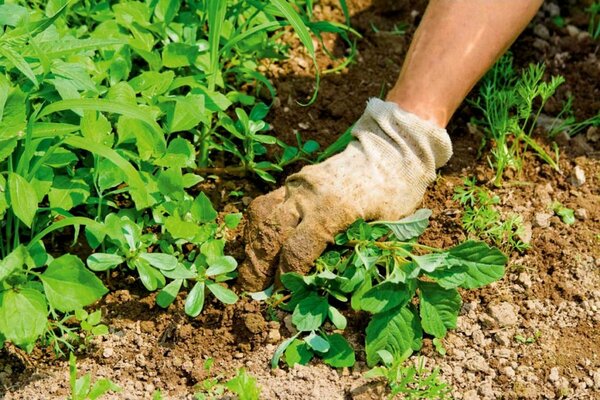 Gebrauchsanweisung für Agrokiller