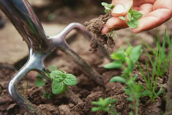 landwirtschaftliche Gepflogenheiten