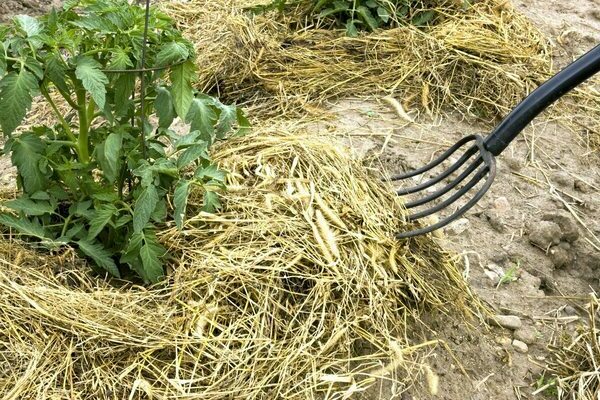 Was für ein Agro-Empfang