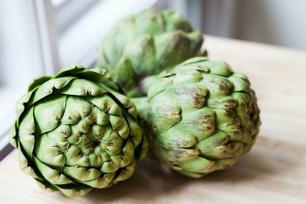 artichoke plant photos