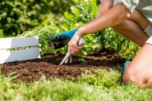 Unkrautbekämpfung im Garten