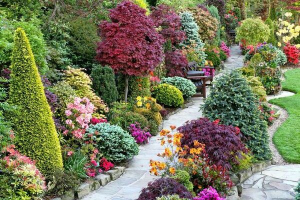 ornamental trees and shrubs names