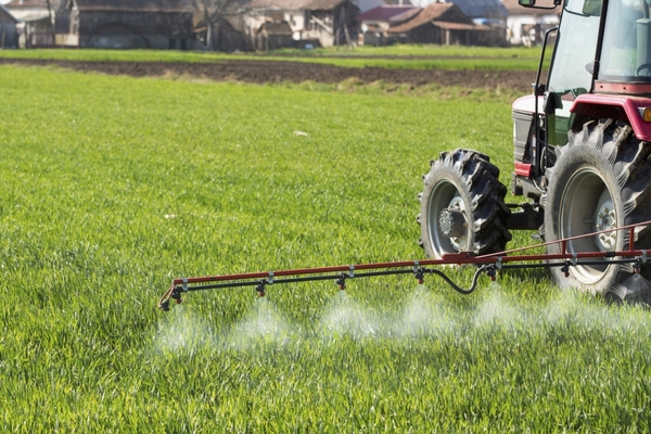 potato herbicides