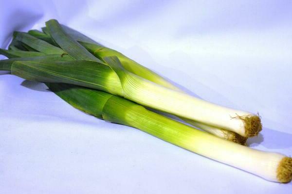 leek photo