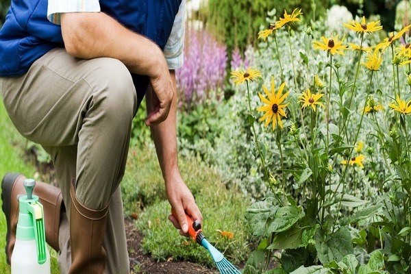 Urlaub im Garten