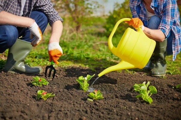 Urlaub im Garten