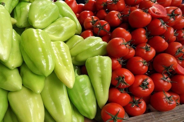 Top dressing of tomato and pepper seedlings