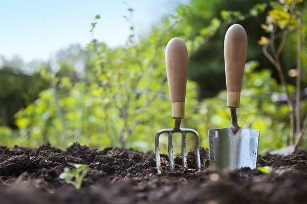 Arbeiten im Gemüsegarten