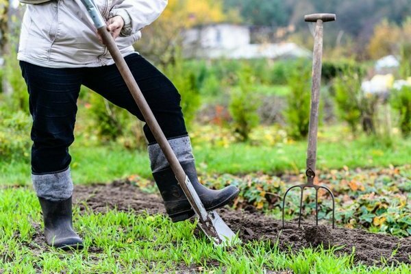 work in the garden pictures