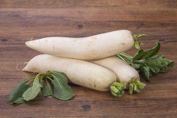 when to plant daikon radish