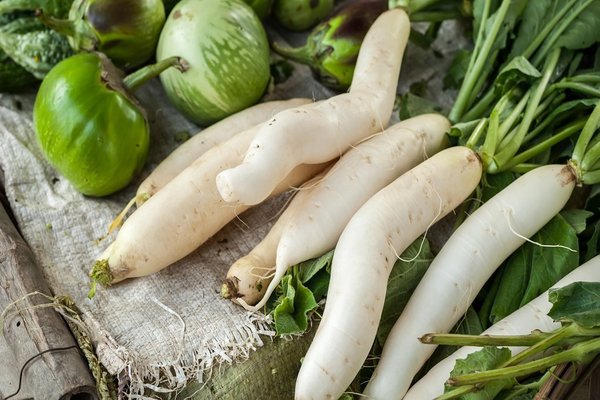 radish daikon care