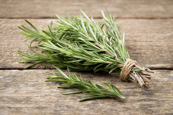 homemade rosemary